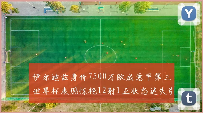 伊尔迪兹身价7500万欧成意甲第三世界杯表现惊艳12射1正状态迷失引发关注
